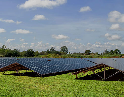 field of solar panels